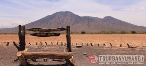 paket wisata baluran, trip baluran, tour baluran