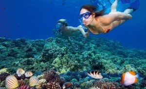 pulau menjangan, pulau menjangan banyuwangi, wisata pulau menjangan