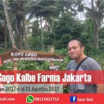 Pak Gogo Kalbe Farma Tour to Banyuwangi