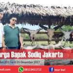 Keluarga Bapak Sodiq Jakarta Trip to Banyuwangi with Tour Banyuwangi