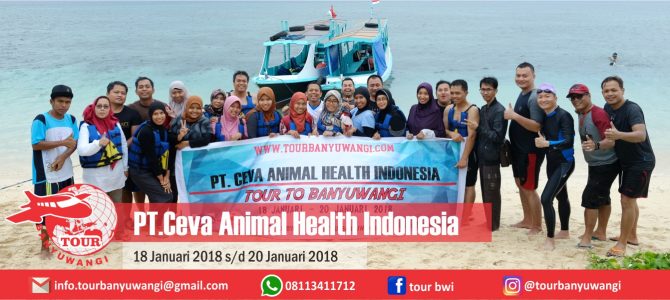 PT. Ceva Healt Animal Jakarta Tour To Banyuwangi With Tour Banyuwangi