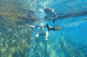 bangsring snorkeling, bangsring underwater, bangsring